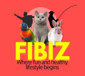 FIBIZ